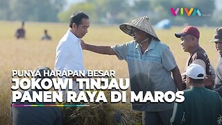 Blusukan Tinjau Panen Raya Di Maros, Jokowi Punya Harapan Besar