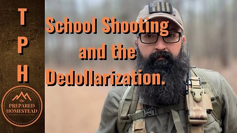 School Shooting and the Dedollarization