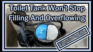 Toilet Tank Not Stop Filling And Overflowing (American Standard or Glacier Bay) - Easy Fix Possible