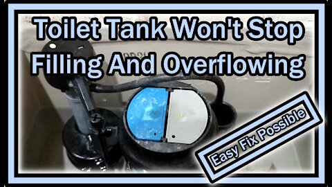 Toilet Tank Not Stop Filling And Overflowing (American Standard or Glacier Bay) - Easy Fix Possible