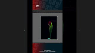 How to create a rose art in photoshop, photo manipulation #adobephotoshop #photoediting #shorts