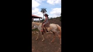 OLHA O QUE EU FIZ SOZINHA NO SITIO, VIRALIZOU NO TIKTOK !! #tiktokvideo #viral #fazenda #cavalo #fy