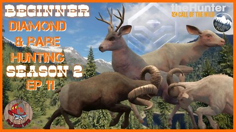 TheHunter: Call of the Wild - Beginner DIAMOND & RARE Hunting Ep 41