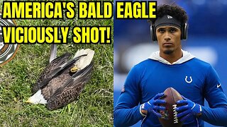 Colts Player Rodney Thomas' Father VICIOUSLY KILLS America's National Symbol THE BALD EAGLE!