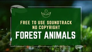 FREE TO USE NO COPYRIGHT SOUNDTRACK | ORIGINAL FANTASY FOREST ANIMALS AMBIENCE