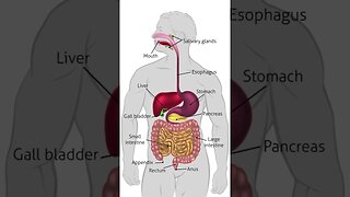 Gallbladder cancer overview