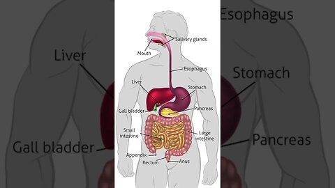 Gallbladder cancer overview