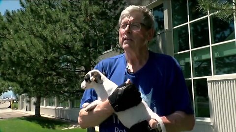 Everyday Hero: Volunteer pilot helps to rescue puppies, bring them to a brighter future
