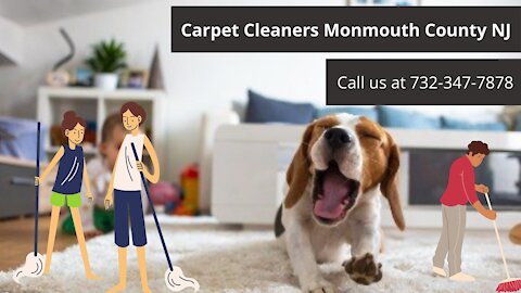 Carpet Cleaners Manalapan NJ - PowerPro Carpet Cleaning of NJ