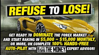 Getting Started with "The Money" EA: The #1 Forex Expert Advisor / Forex trading robot.