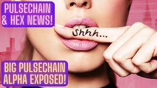 PULSECHAIN & HEX NEWS! BIG PULSECHAIN ALPHA EXPOSED!