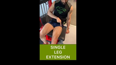 SINGLE LEG EXTENSION | Quad Workout | Leg Workout #shorts