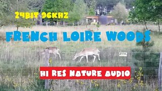 HI RES STEREO NATURE AUDIO 24BIT 96KHZ ASMR ParK aquatique Aqua Mundo Center Parcs Le Bois aux Daims