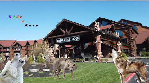 Great Wolf Lodge - Pocono Mountains, PA