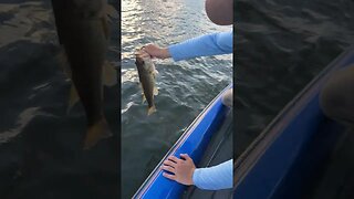 Summertime Lake Fishing! | Largemouth Bass Fishing!