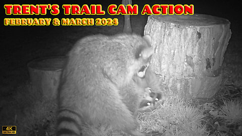 Trent's Trail Cam Action - March & April 2024