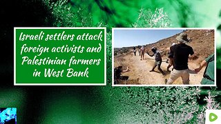 Israeli settlers attack foreign activists and Palestinian farmers in West Bank