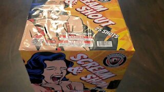 Scream And Shout 500G (Dominator Fireworks)