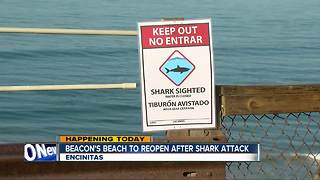 Encinitas beach reopening after weekend shark attack