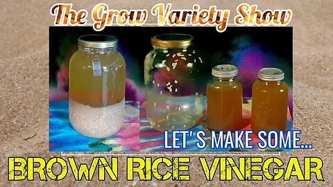 Making (BRV) Brown Rice Vinegar 2.0 (The Grow Variety Show ep.251)