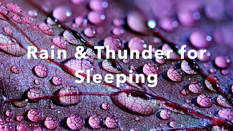 Rain and Thunder Sleep Therapy