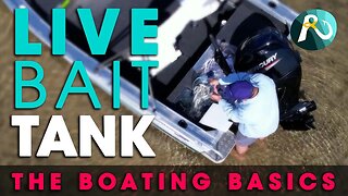 Live Bait Tank BEGINNERS GUIDE - How to operate a live bait tank!