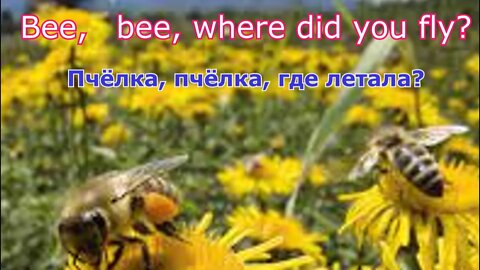 #bee, bee, where did you fly?#пчелка,пчелка,где летала?