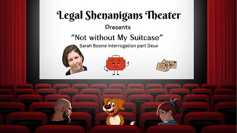 Legal Shenanigans Theater Sarah Boone part Deux