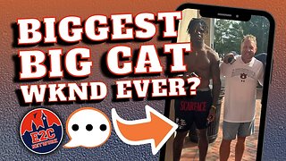 Was This Best Big Cat Weekend Ever for Auburn Football? | A COMMIT, FLIP, and MORE!