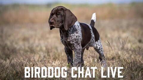 Meet Our New Puppy Hex - Bird Dog Chat with Ethan and Kat