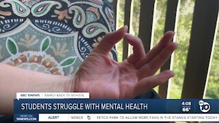 Mental health concerns rise as students go back to school
