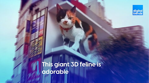 This giant 3D feline is adorable