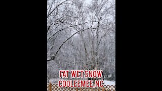 FAT WET SNOW COOLEEMEE, NC