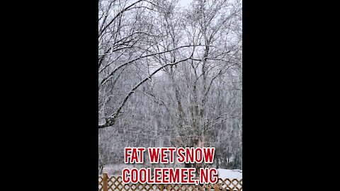 FAT WET SNOW COOLEEMEE, NC