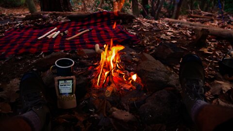 Appalachian Bushcraft Camp: Brewing Lion's Mane mushroom tea in Blue Ridge Mountains, Asheville ,NC