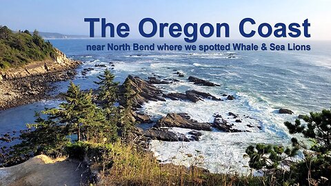 The Oregon Coast near North Bend