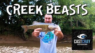 Catching Ohio Creek Smallmouth (Cast Cray Squarebill SMASH!)