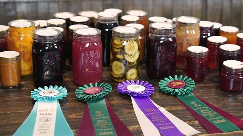 County Fair Judging Results Explained [We Rocked It]