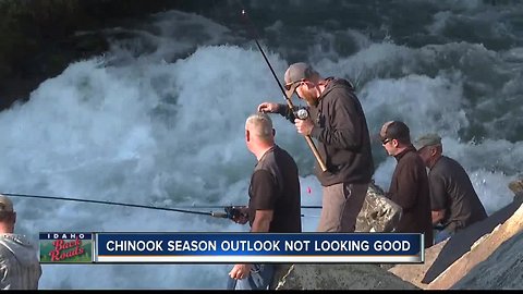 Idaho fisheries forecast poor for chinook salmon season