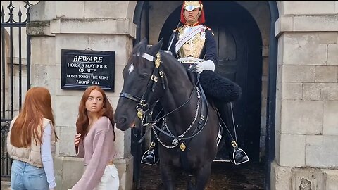 Horse scared her #horseguardsparade