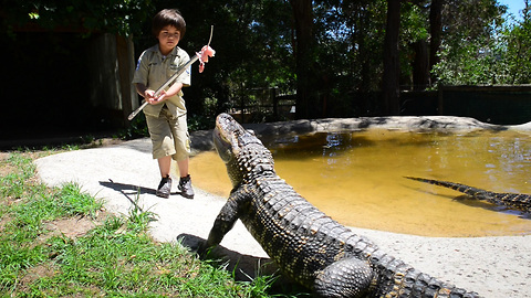 Eight-Year-Old Gator Wrangler Handles Beasts With Ease
