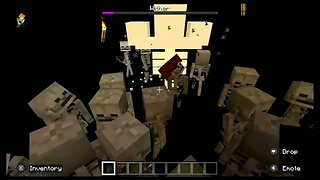 disaster in 100 skeletons vs 1 wither