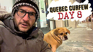Quebec Curfew Day 8 Update: From Bad to Worse