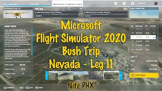 MSFS2020 Multiplayer Bush Trip Nevada Leg 11