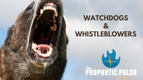 Watchdogs & Whistleblower