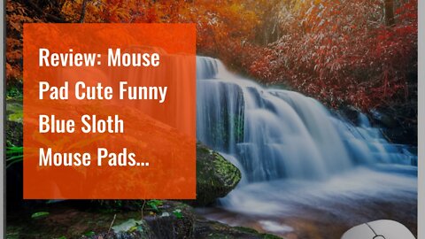 Review: Mouse Pad Cute Funny Blue Sloth Mouse Pads Round Mousepad for Computers Office Laptop P...
