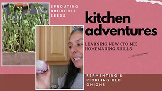Kitchen Adventures : Growing Sprouts, Fermenting & Pickling Onions