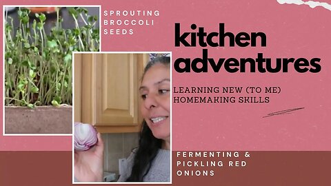 Kitchen Adventures : Growing Sprouts, Fermenting & Pickling Onions