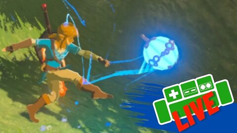 BotW But Link Can KICK Everything 😂💀