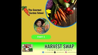 The Gourmet Garden School Interview Part 3: #freshproduce #vegetables #fruit #growyourownveggies